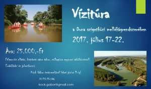 vizitura