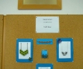 tmar-anna-aprily-galeria