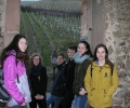 Strasbourg