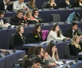 szrg_010590