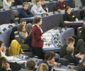szrg_010633