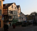szrg_010808