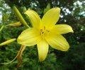 dscf2524