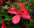 dscf2578