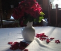 dscf2580