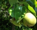 dscf2658
