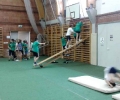 temanap-2