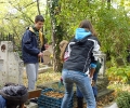 dscf2602