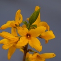 337845432_176991208497065_6860307422730440986_n