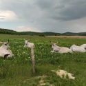IMG_20220510_133336